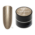 ENII Chrome Powder Champagne-5g